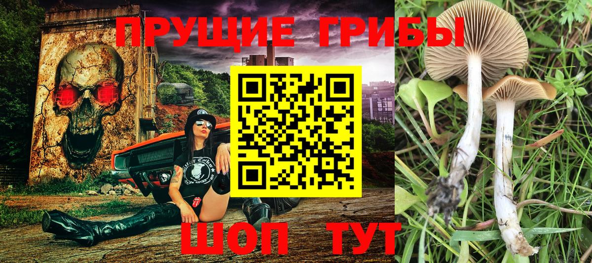 Галлюциногенные грибы мицелий Наро-Фоминск
