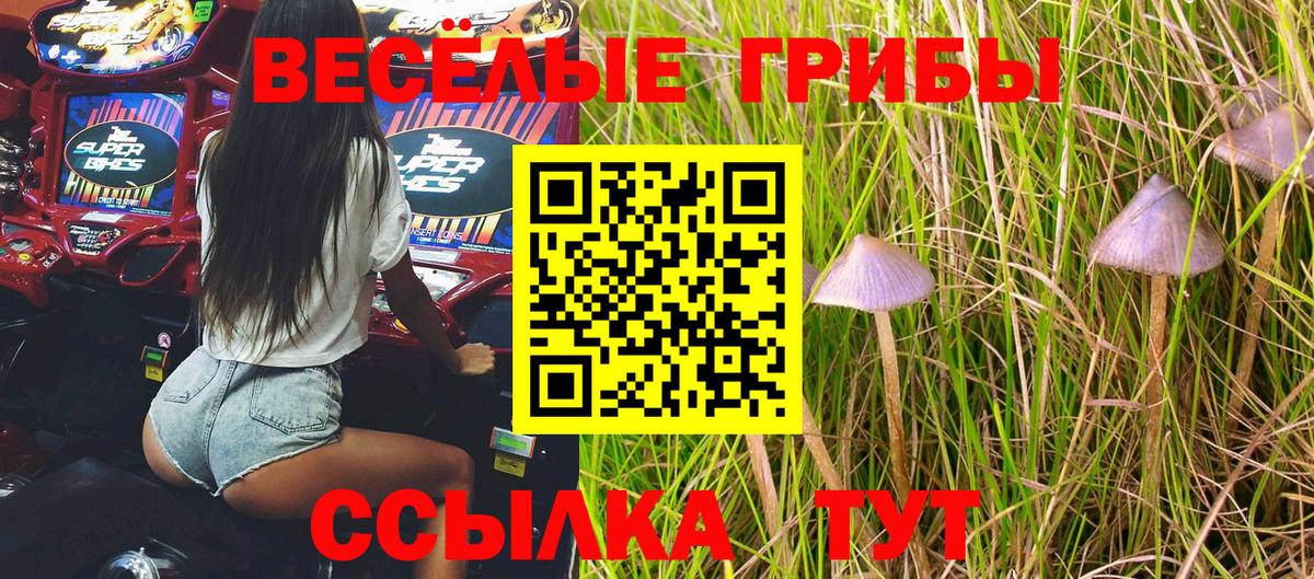 Галлюциногенные грибы мицелий  Галлюциногенные грибы мухоморы  Вход с VPN  Наро-Фоминск 